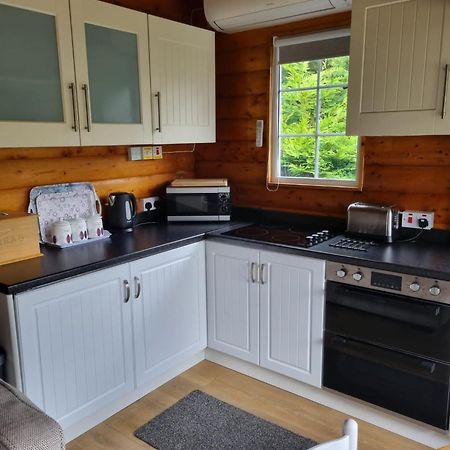Mountain View Log Cabin In Snowdonia Nr Coed Y Brenin Tanygrisiau Екстер'єр фото