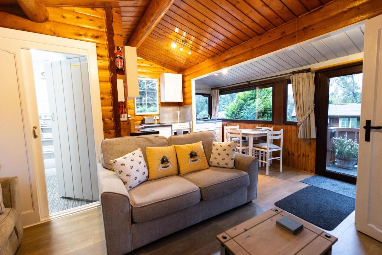 Mountain View Log Cabin In Snowdonia Nr Coed Y Brenin Tanygrisiau Екстер'єр фото