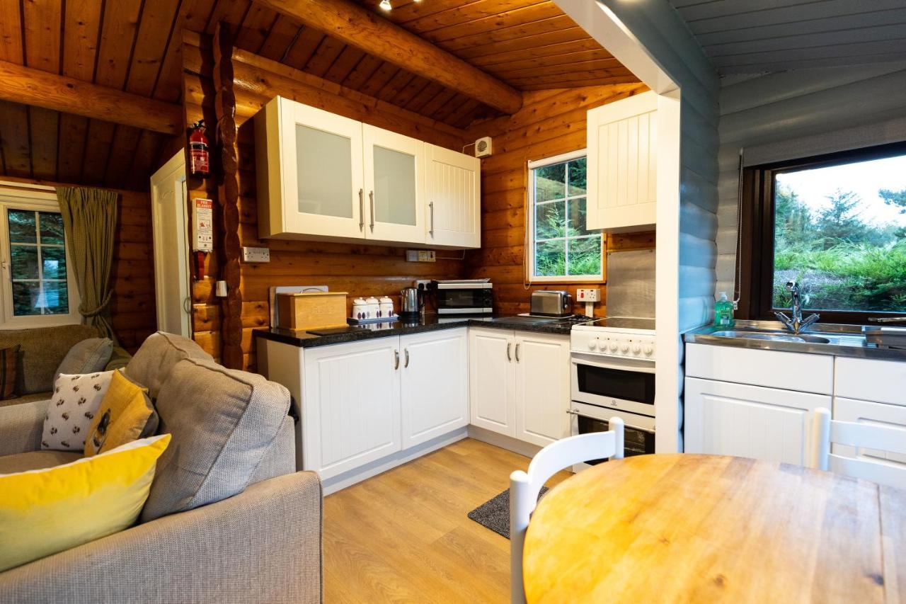 Mountain View Log Cabin In Snowdonia Nr Coed Y Brenin Tanygrisiau Екстер'єр фото